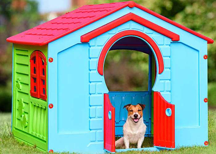 Pet dog house molds