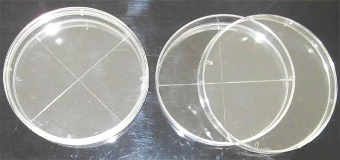 Petri Dish Mould 1 Petri Dish Mould-1