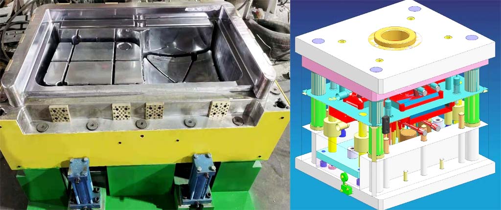 WS Comprehensive Mold Knowledge