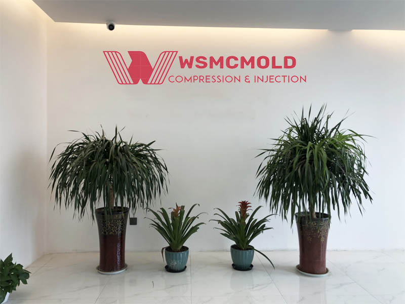 about us-WS MOLD