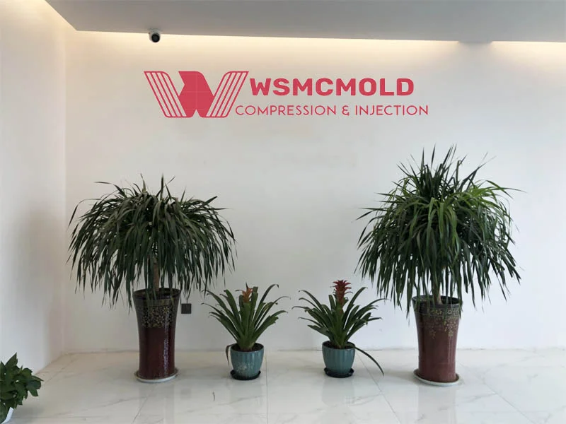 WS MOLD about us-WS MOLD