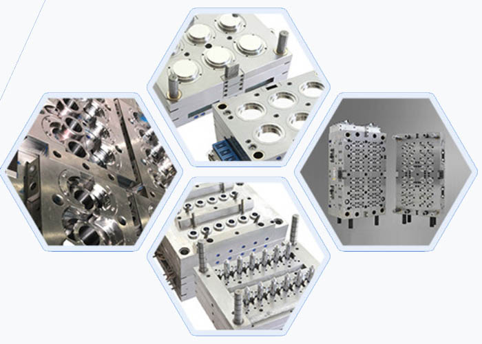 What is mold standardization 1 What Is Mold Standardization 1