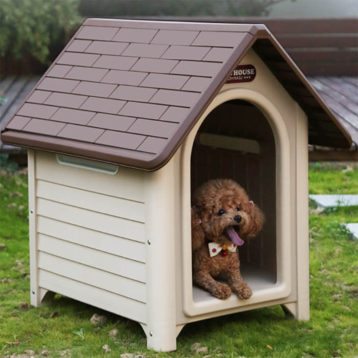 A Guide to Choosing a Dog House for Your PET​