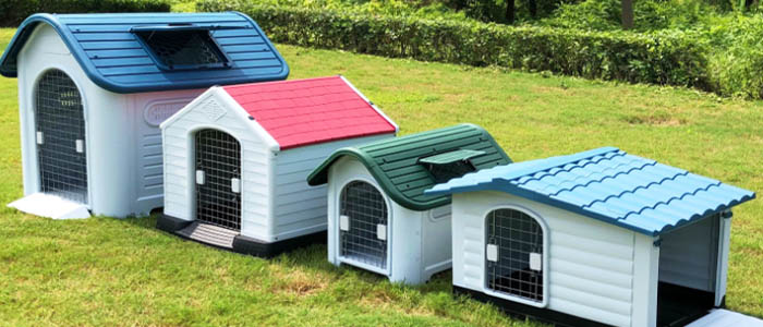 Selecting the Right Kennel is Crucial​