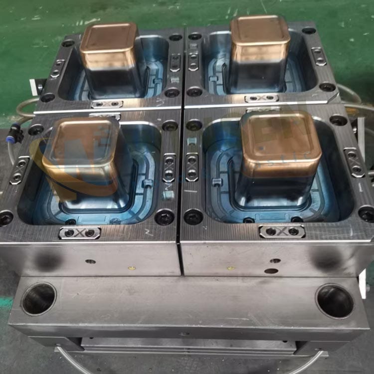 food container mold Food Container Mold